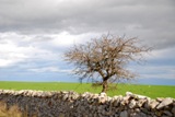 Clicca qui per vedere l'immagine in dettaglio